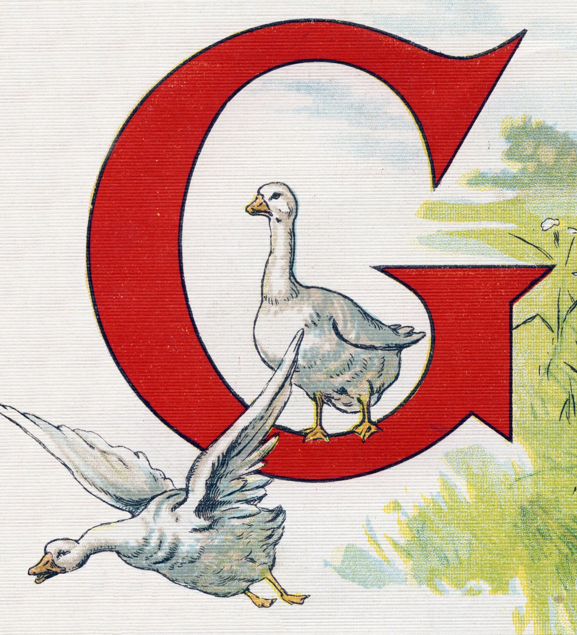 Bogstav G: Gode ænder. Indgravering i "ABC L