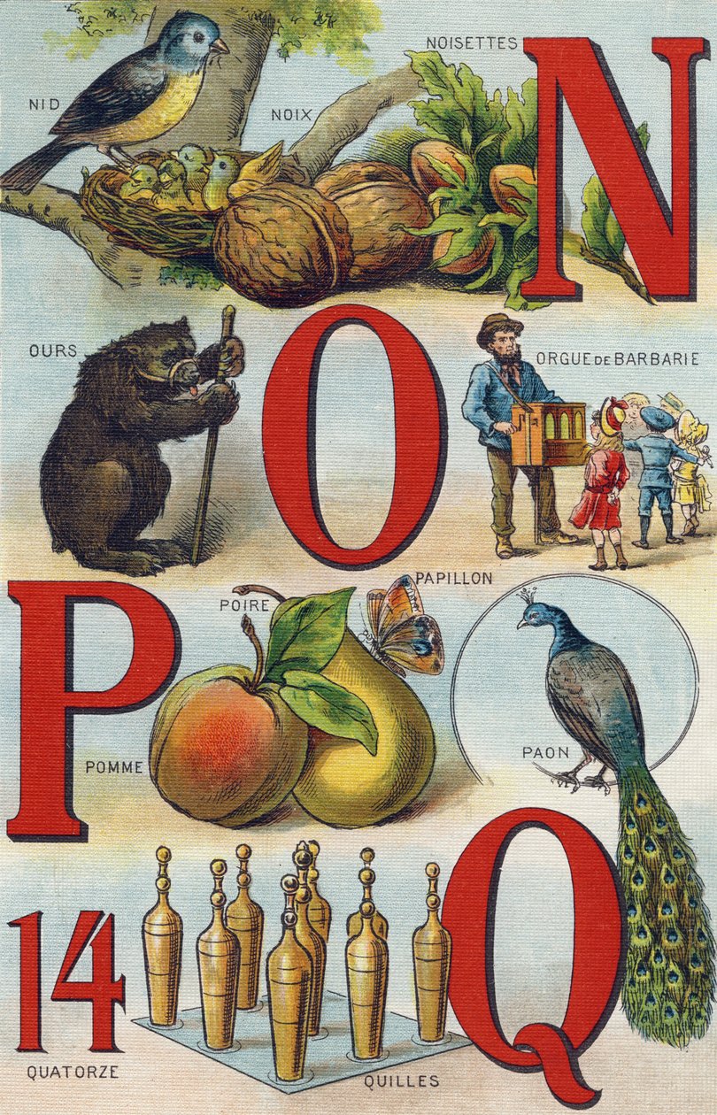 Bogstaver N O P Q; Rede; Hasselnødder; Pickly Orgel; Bjørn; Påfugl; sommerfugl æble pære; Skåle. Indgravering i "Alphabet de ma petite fille". Bernardin-Bechet og Fils, boghandler-forlag, Paris, omkring 1895. Ubrydeligt album på lærred. Bibliotheque des Be af Unbekannt