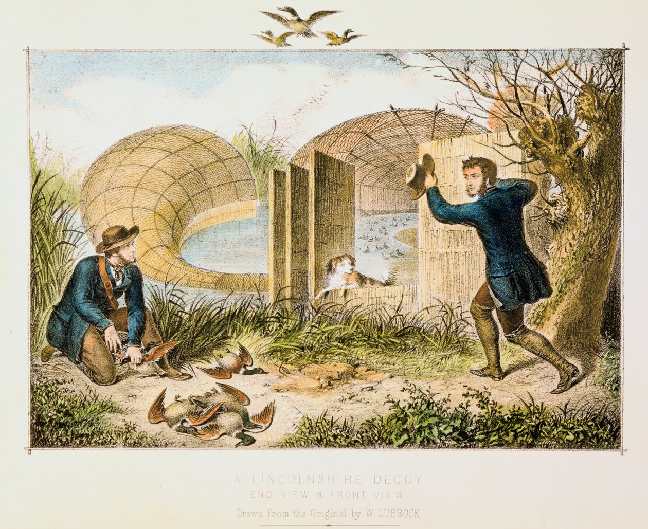 Lincolnshire Duck Decoy, c1845 af Unbekannt