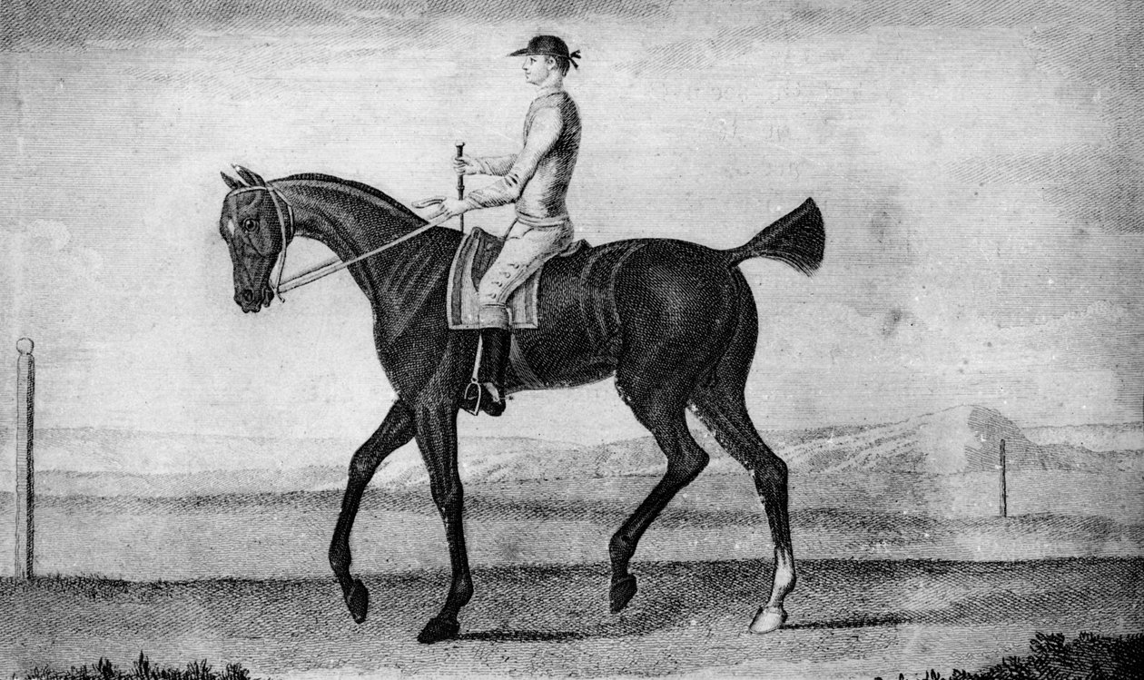 Lille chauffør, c1850-1900, 1911 af Unbekannt