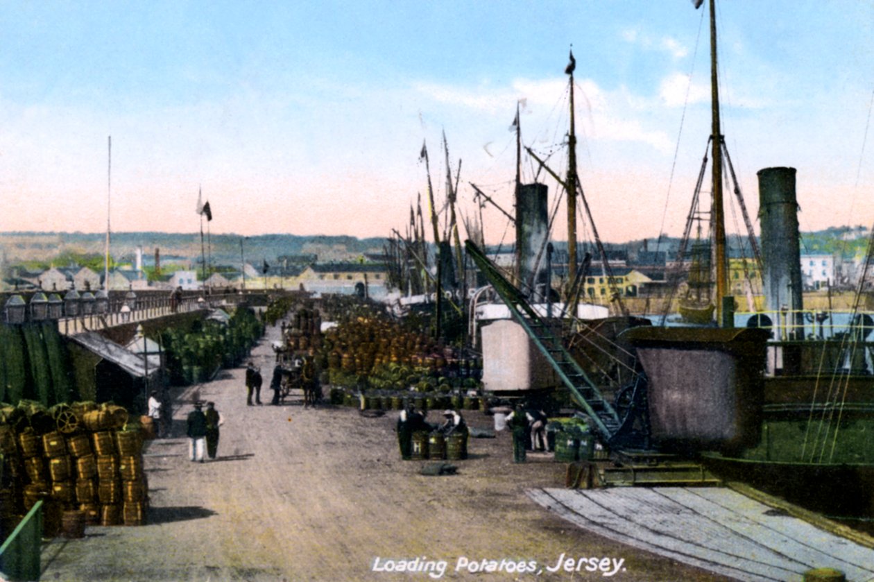 Indlæser kartofler, Jersey, 1908 af Unbekannt