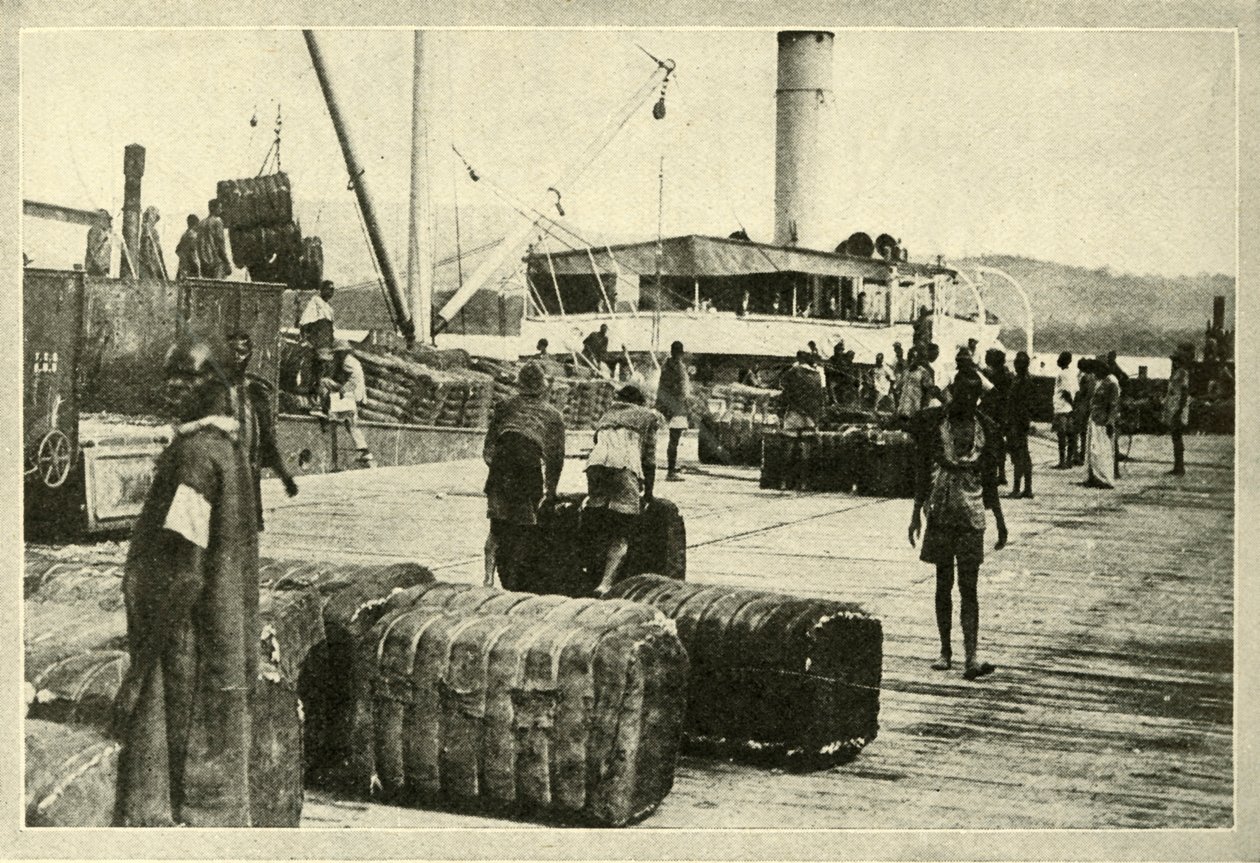 Læsning af en last bomuld, c1948. af Unbekannt