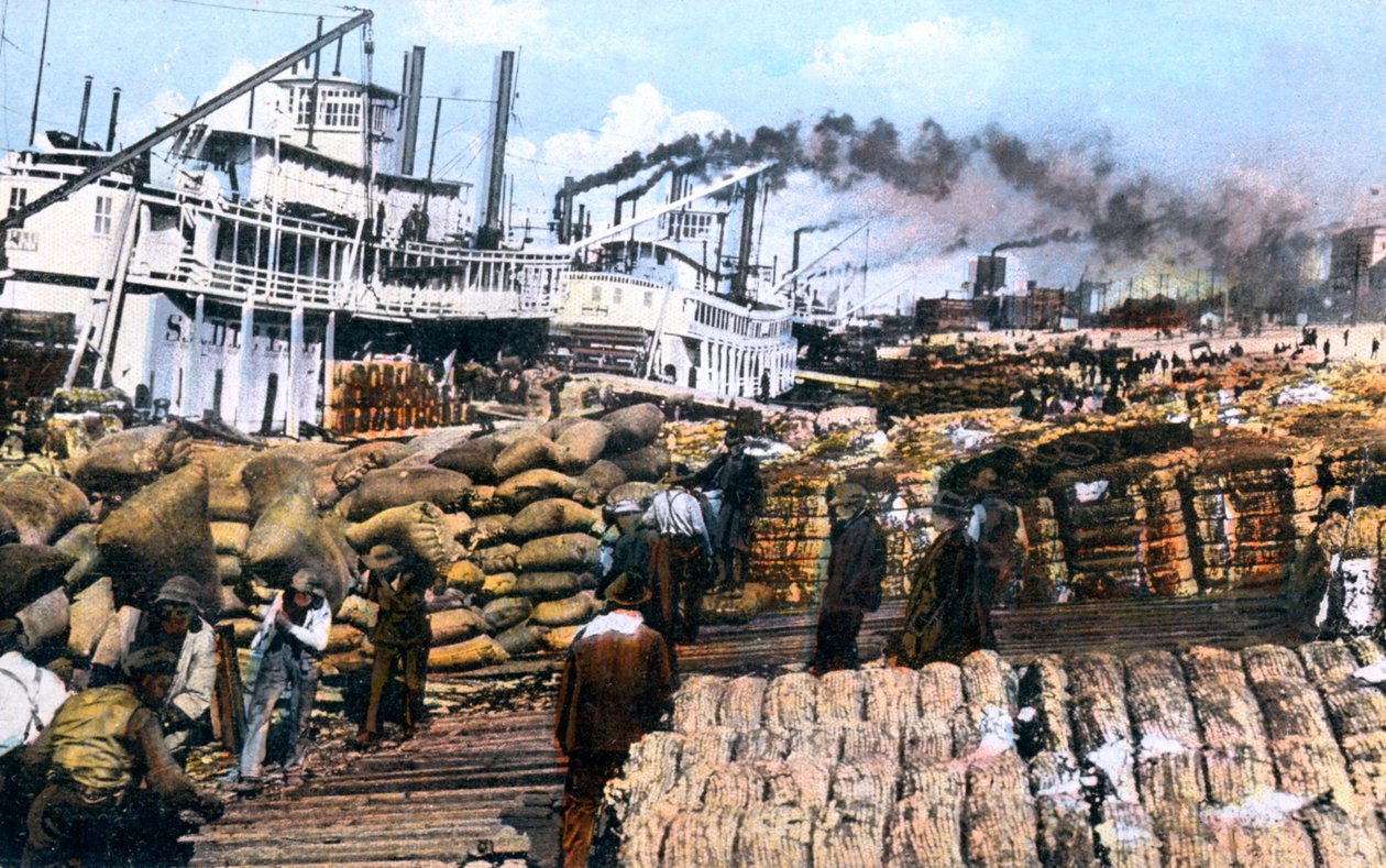 Lastning af bomuld på et skib, Memphis, Tennessee, USA, c1900-tallet af Unbekannt