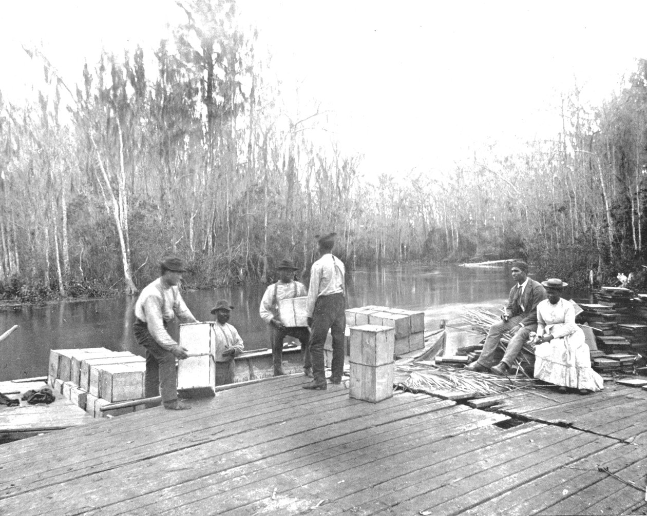 Indlæser appelsiner på Ocklawaha-floden, Florida, USA, c1900. af Unbekannt