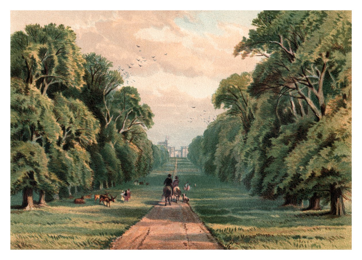 Long Walk, Windsor Park, 1880 af Unbekannt