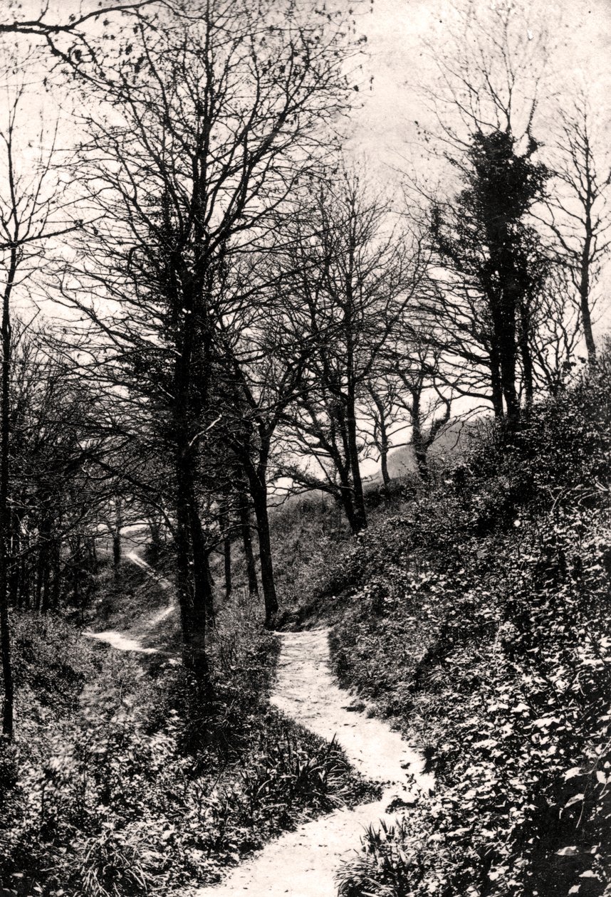 Lovers Lane, Fairlight, Hastings, Sussex af Unbekannt