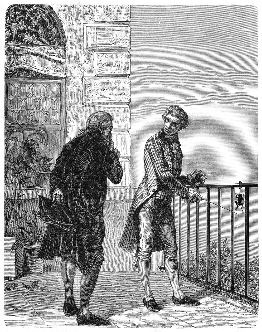 Luigi Galvani, italiensk fysiolog fra det 18. århundrede, 1880 af Unbekannt