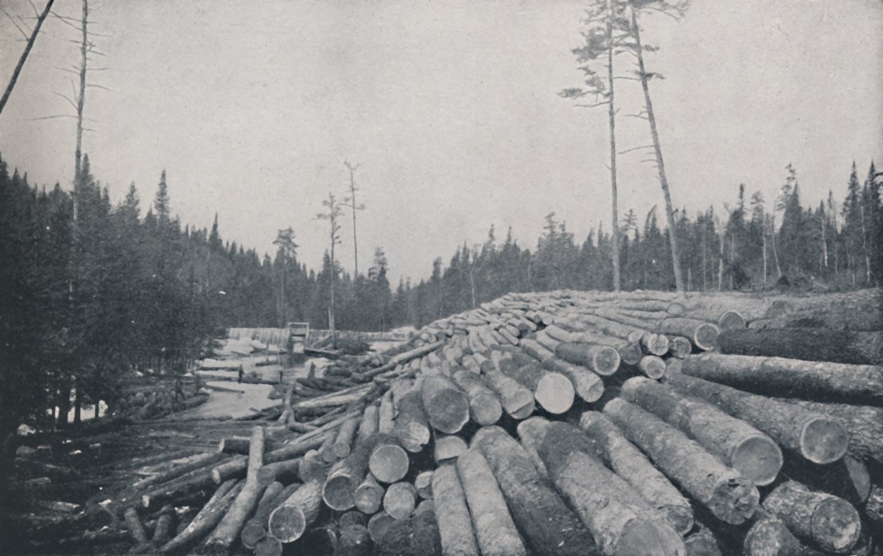 Tømmerarbejde, 1924 af Unbekannt