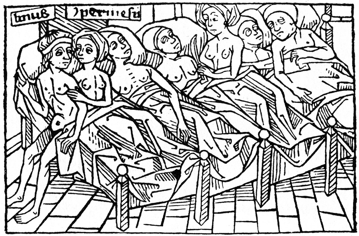 Lynceus og Hypermnestra, 1479 1964. af Unbekannt