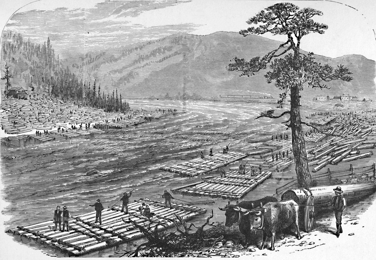 At lave flåder på Susquehanna-floden. En scene på linje med Erie Railroad, 1883 af Unbekannt