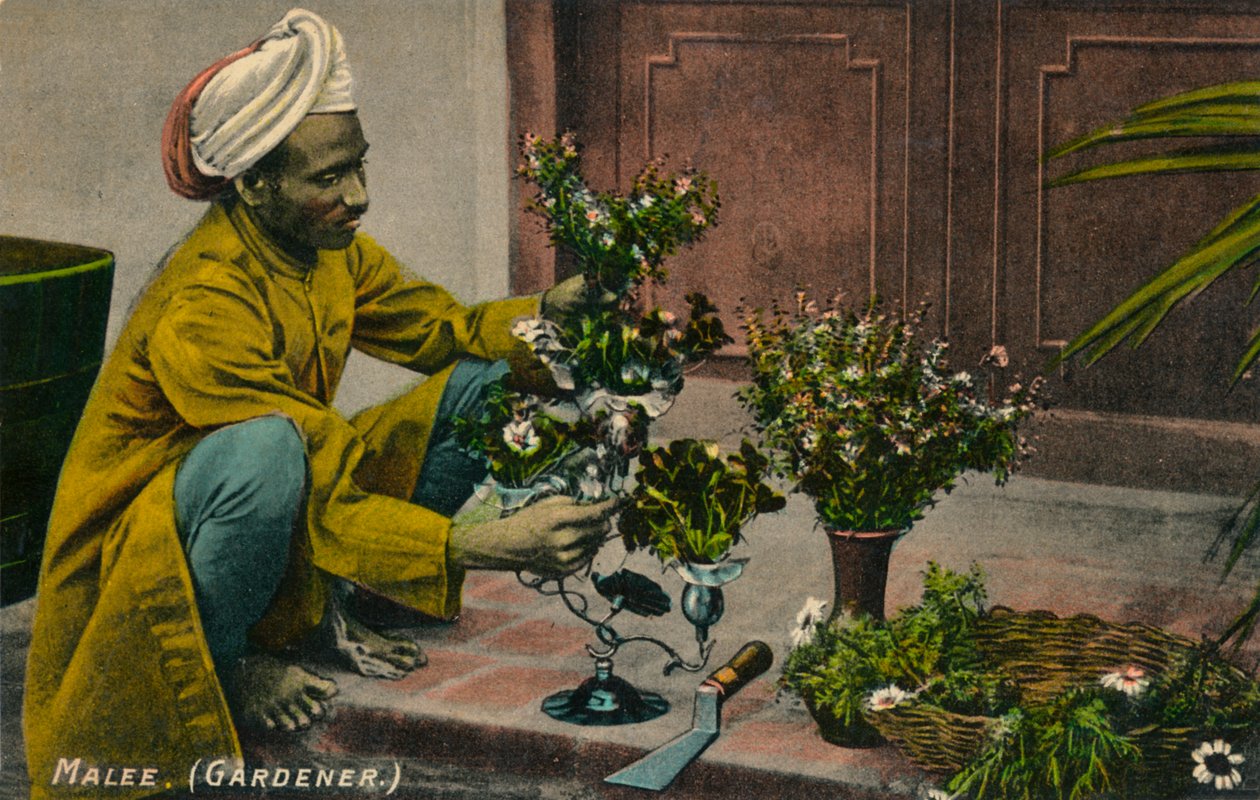 Mandlig gartner, c1900 af Unbekannt