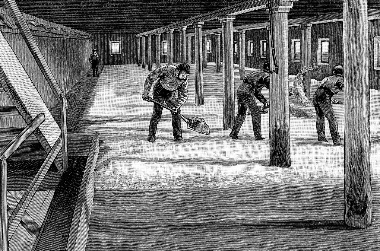 Maltegulv i et amerikansk bryggeri, 1885 af Unbekannt