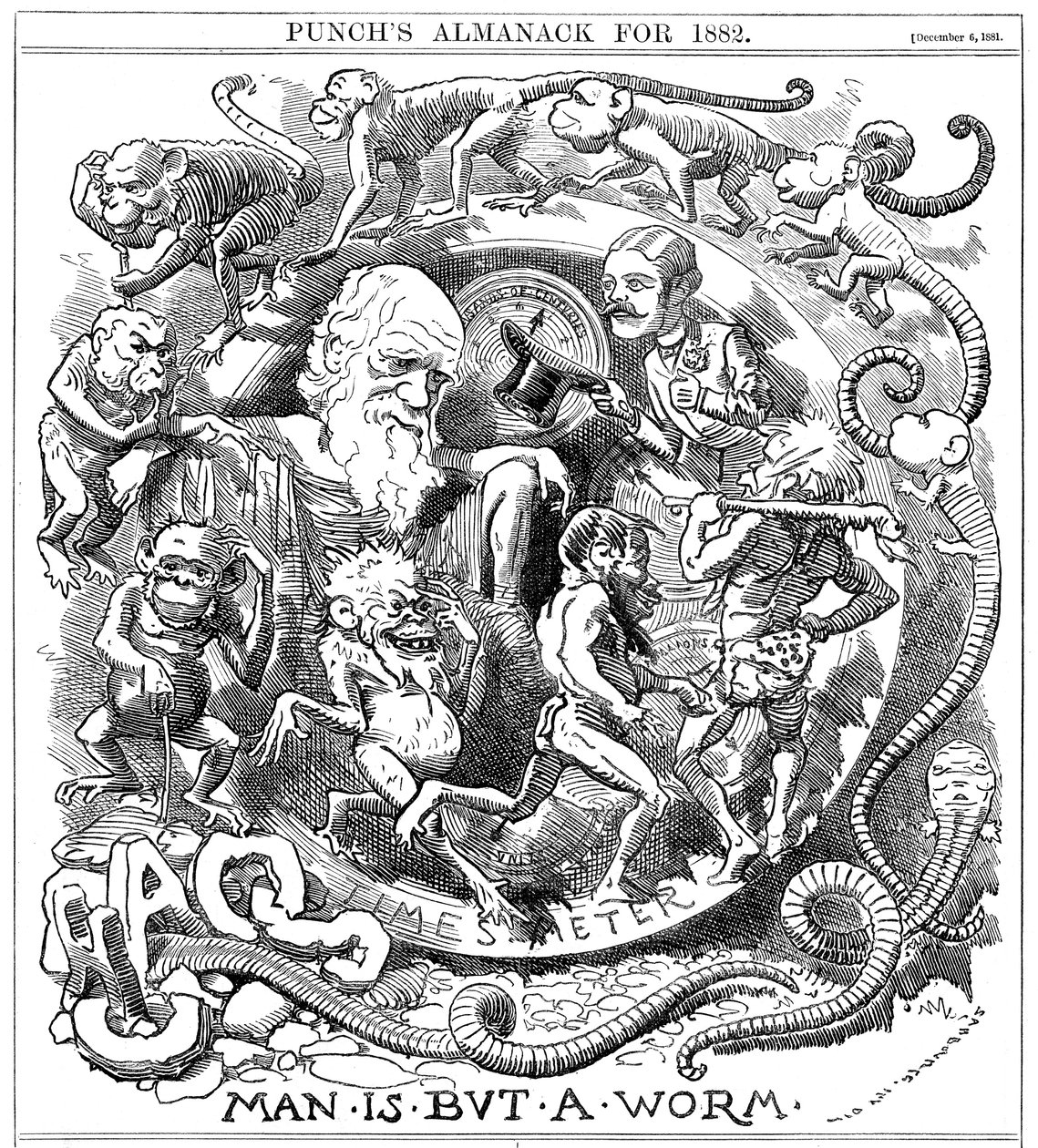Man is but a Worm, tegneserie fra Punch, der viser udviklingen fra orm til mand, 1881 af Unbekannt