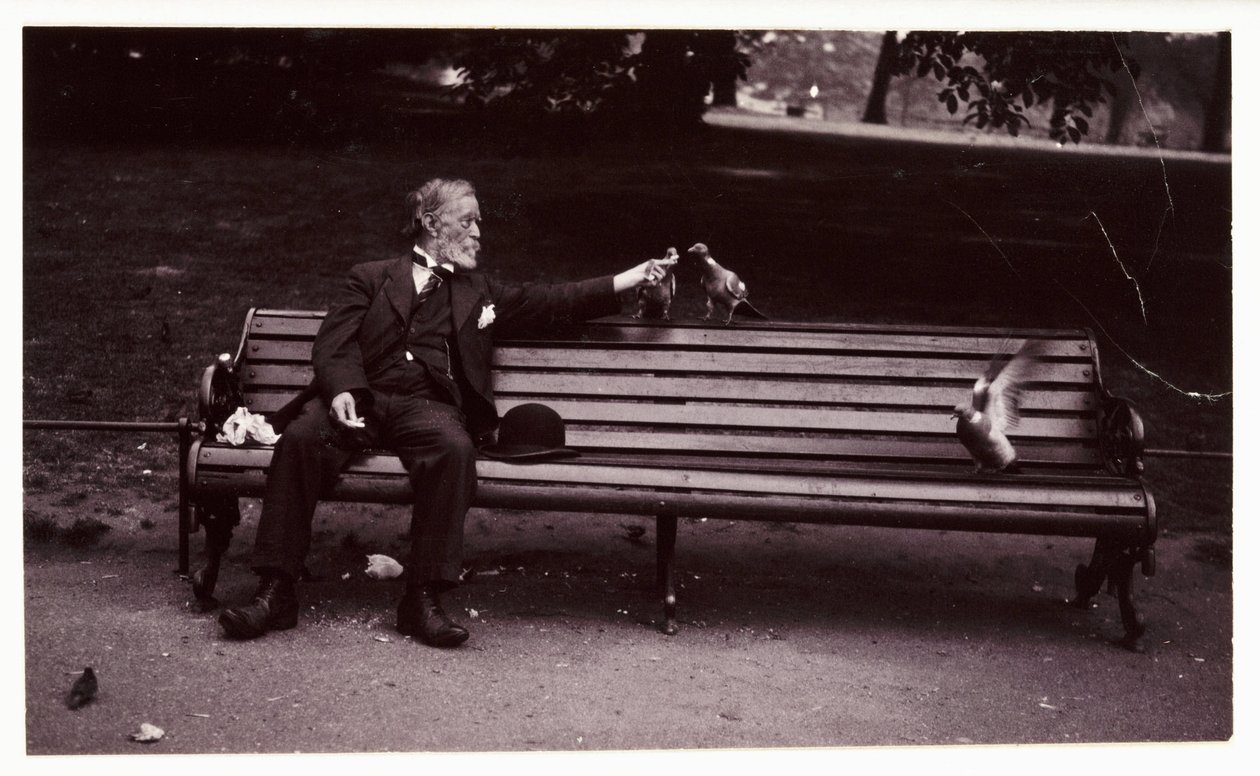 Mand på en bænk i parken, ca 1920 Et øjebliksbillede af en mand, der sidder på en bænk i parken og fodrer duer, taget af en ukendt fotograf omkring 1920 af Unbekannt
