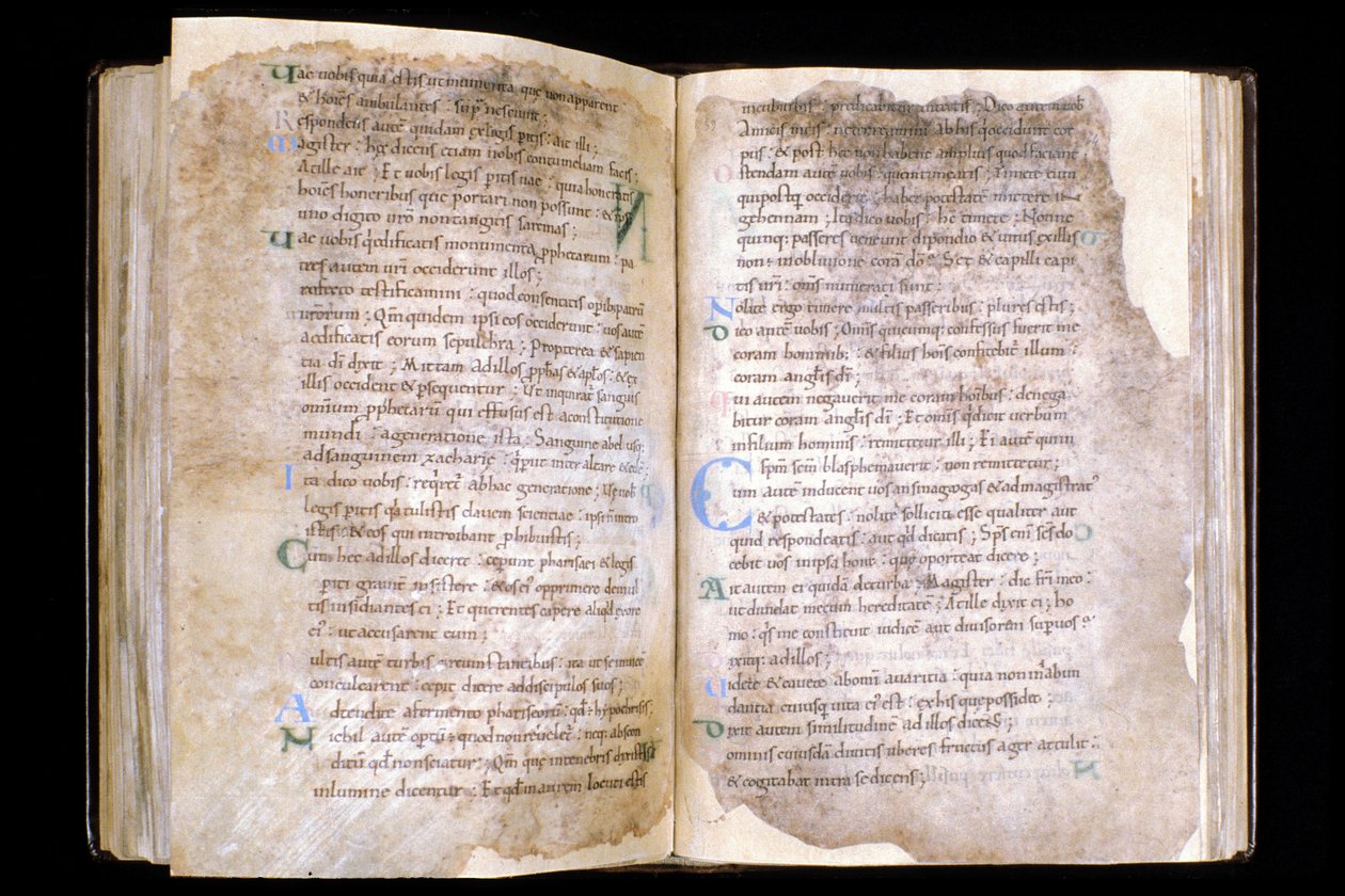 Manche N* 066, City of Mortain, Skat i Saint Evroult kollegiale kirke, evangeliebog fra det 10. århundrede. af Unbekannt