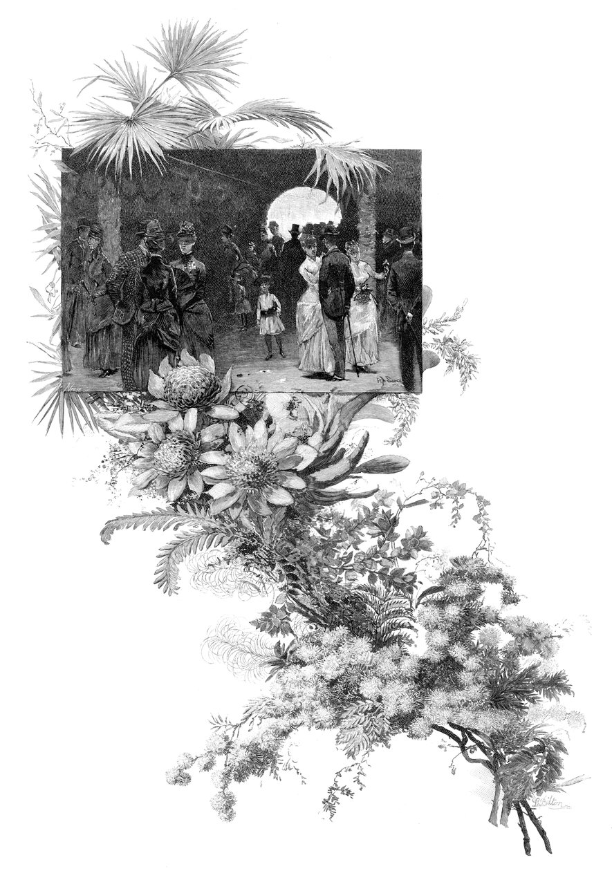 Manly wild flower show, Sydney, New South Wales, Australien, 1886 af Unbekannt