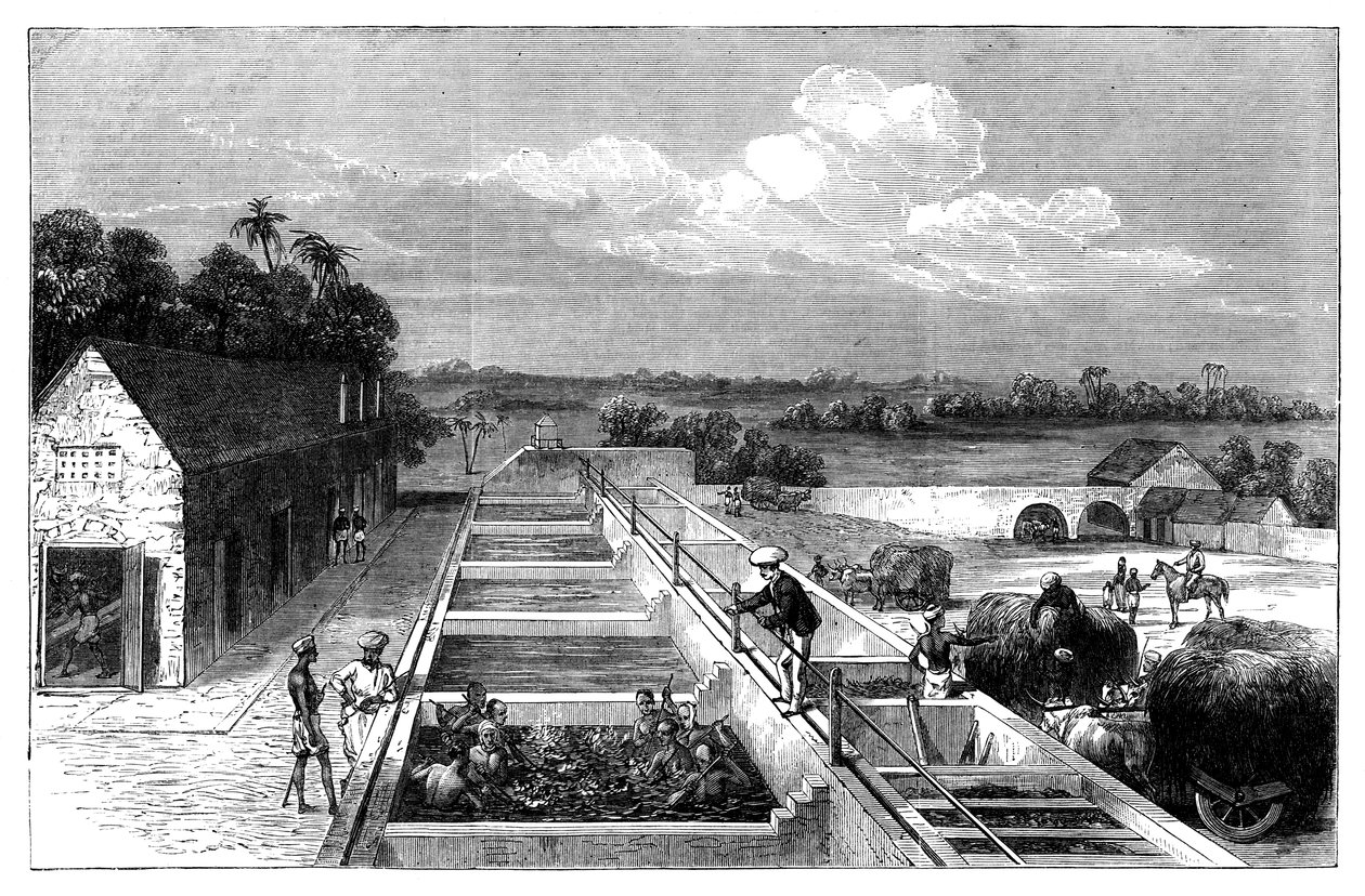 Fremstilling af indigo i Tirhoot Muzaffarpur, Nedre Bengal, 1869 af Unbekannt