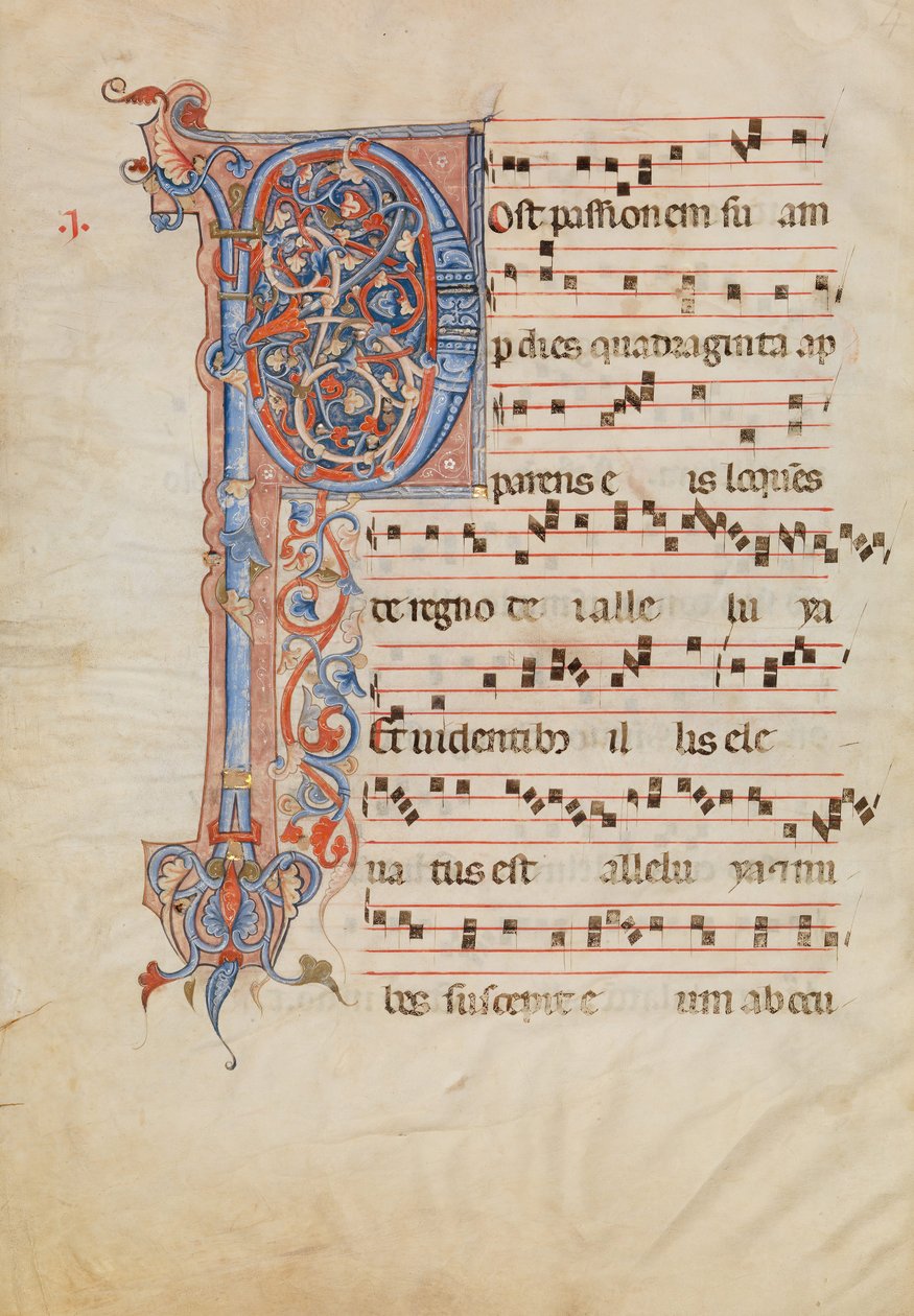 Manuskriptblad med folieret begyndelsesbogstav P, fra et antifonarium, italiensk, ca. 1250-60. af Unbekannt