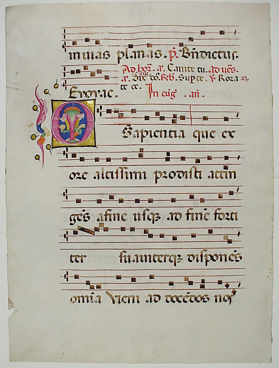 Manuskriptblad med initial O, fra et antifonarium, italiensk, 1400-tallet. af Unbekannt