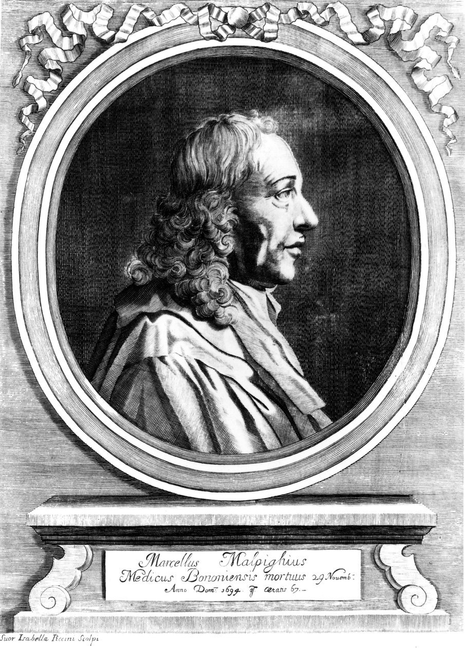 Marcello Malpighi, italiensk medicinsk pioner, ca. 1870 af Unbekannt