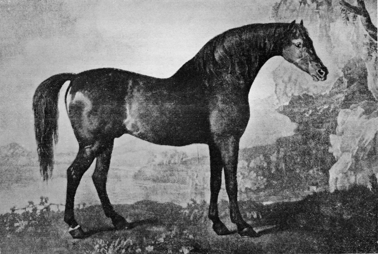 Marske, 1750-1779, 1911 af Unbekannt