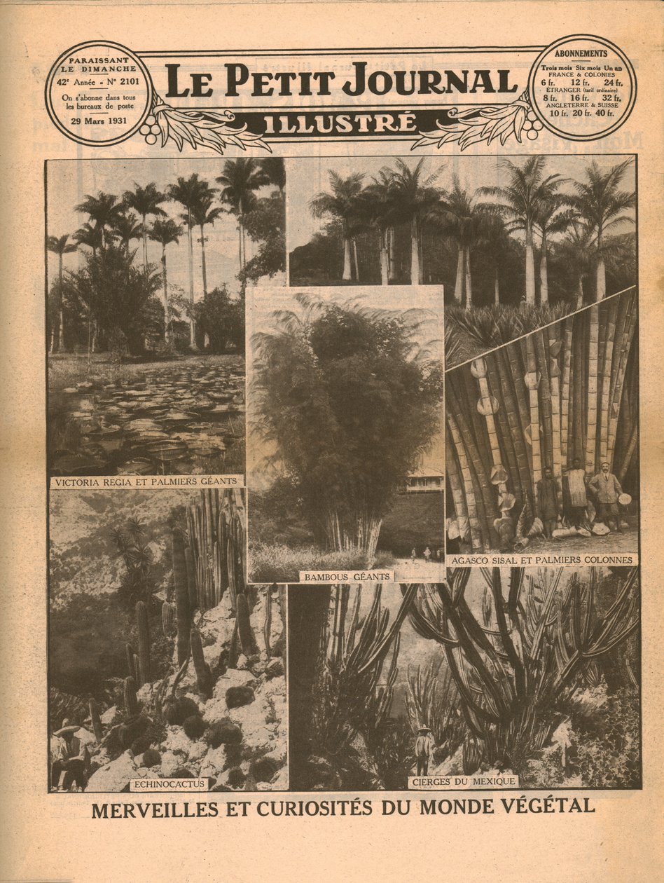 Planteverdenens vidundere og kuriositeter, 1931. af Unbekannt