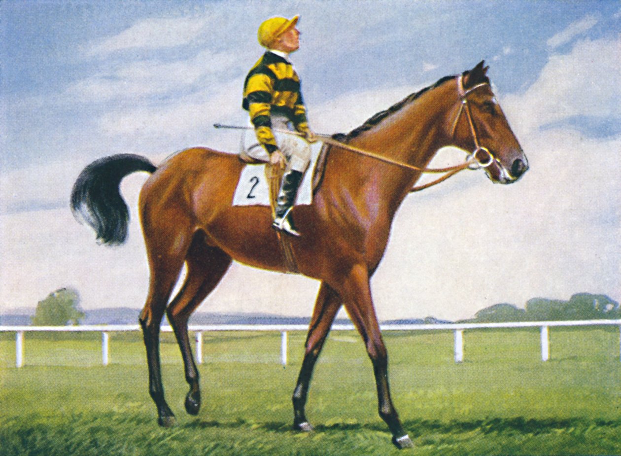 Meadow, Jockey: T. Weston, 1939 af Unbekannt