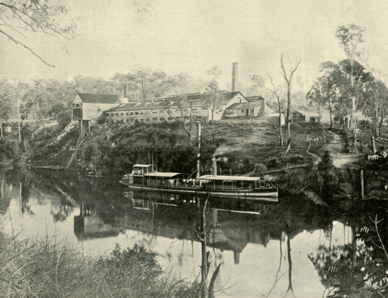 Meat Works, nær Grafton, New South Wales, 1901. af Unbekannt