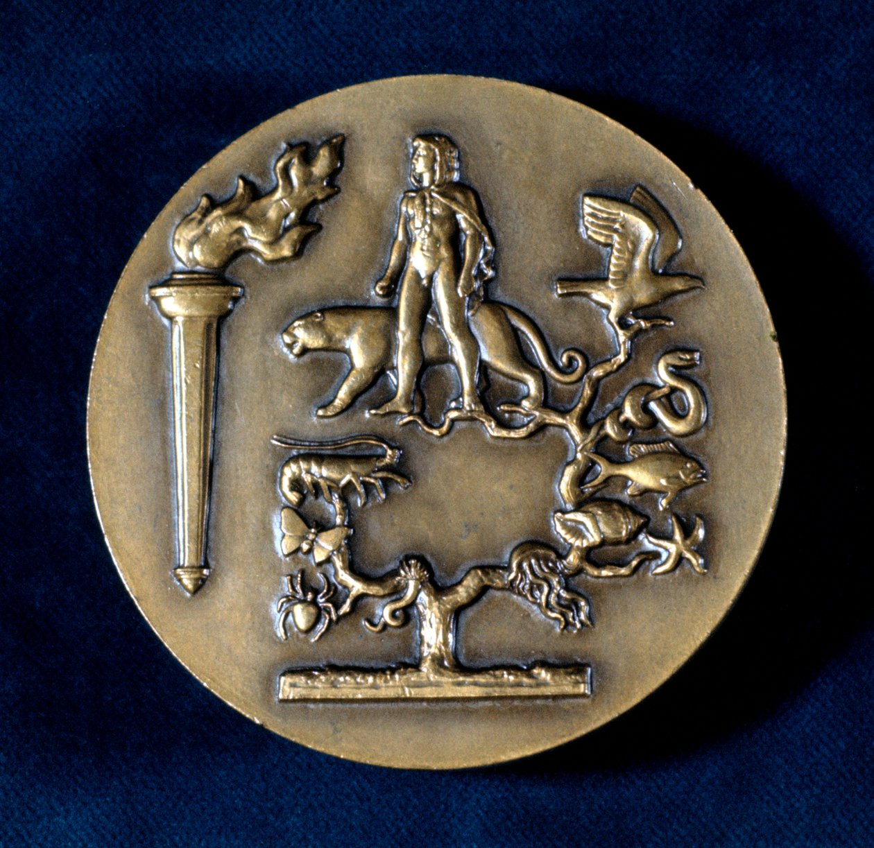 Medalje til minde om Jean Baptiste de Monet, Chevalier de Lamarck, fransk biolog, 20. århundrede af Unbekannt