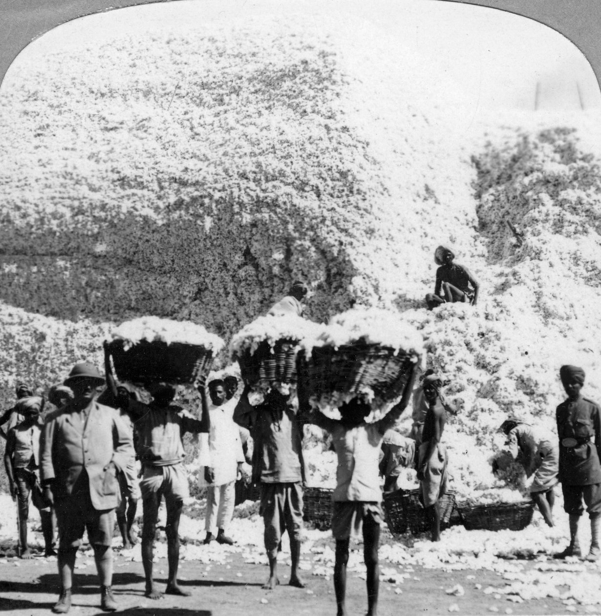 Mænd bærer kurve af bomuld på en Indore bomuldsmølle, Indien, 1900-tallet af Unbekannt