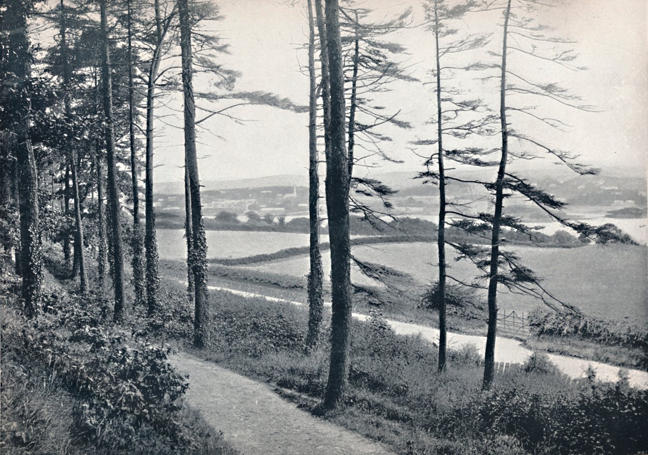 Menai - Fra Bangor Wood, 1895 af Unbekannt
