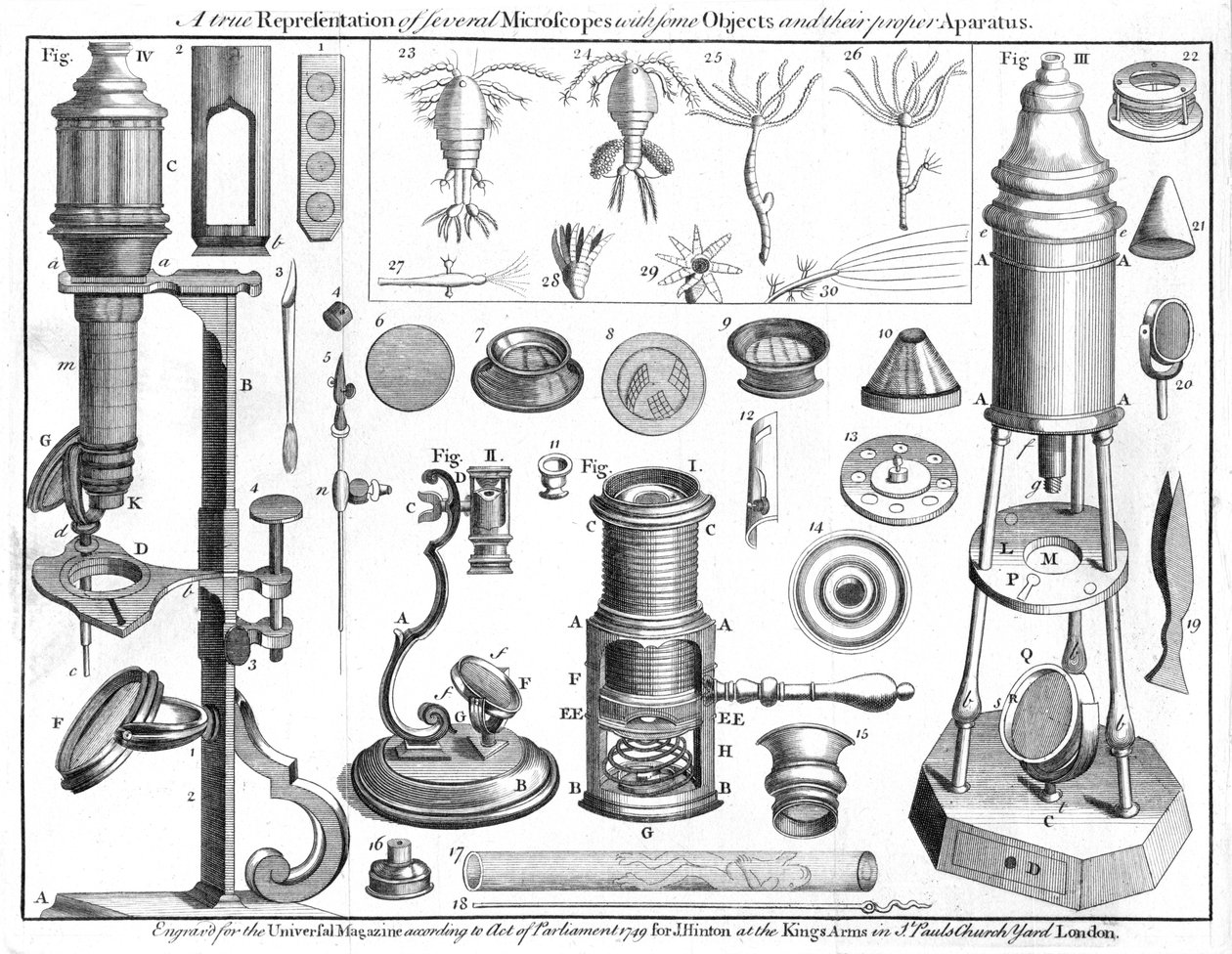 Mikroskoper og mikroskopiske genstande, 1750 af Unbekannt