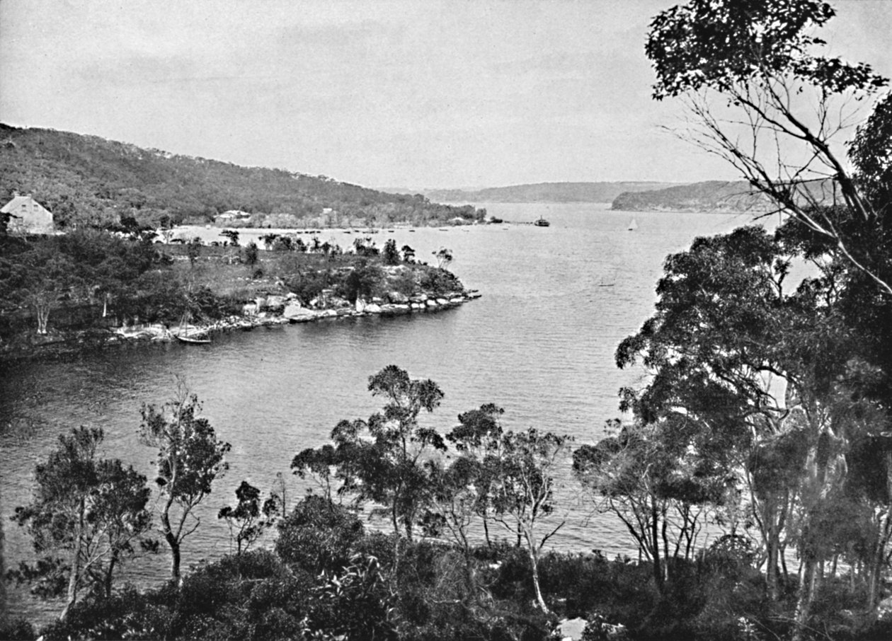 Middle Harbour, fra Spit Road, c1900. af Unbekannt