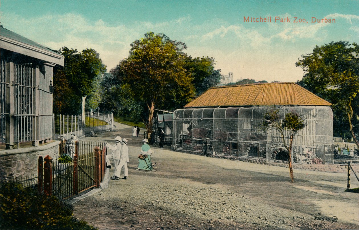 Mitchell Park Zoo, Durban, c1915 af Unbekannt
