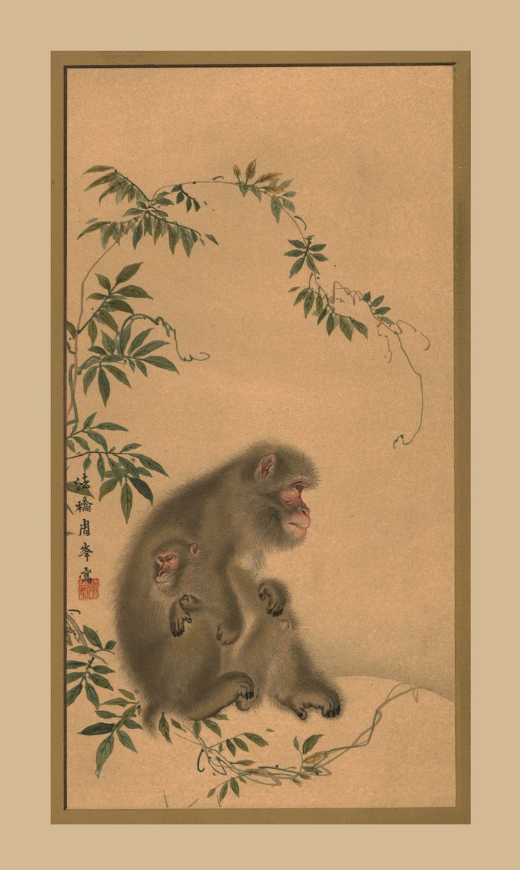 Abe, 1800-tallet, 1886 af Unbekannt