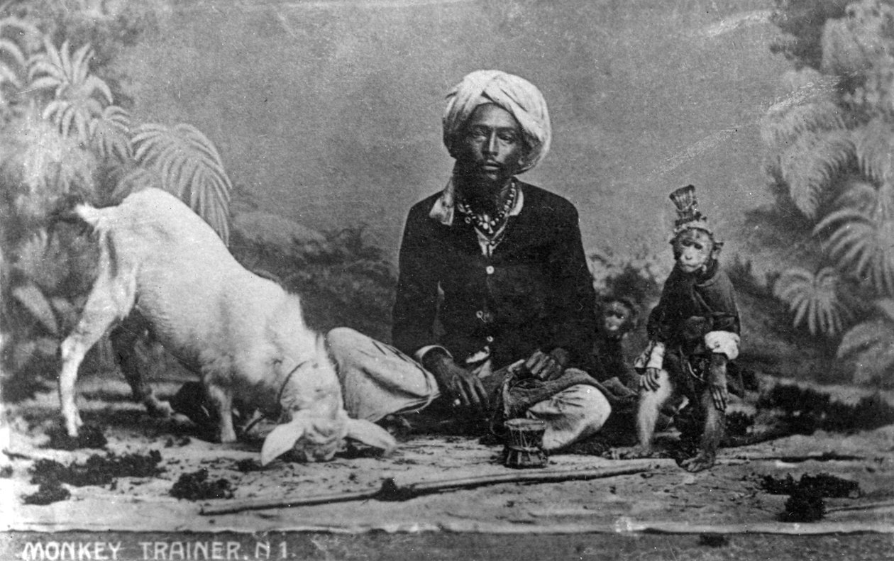 Abetræner, Indien, 20. århundrede af Unbekannt