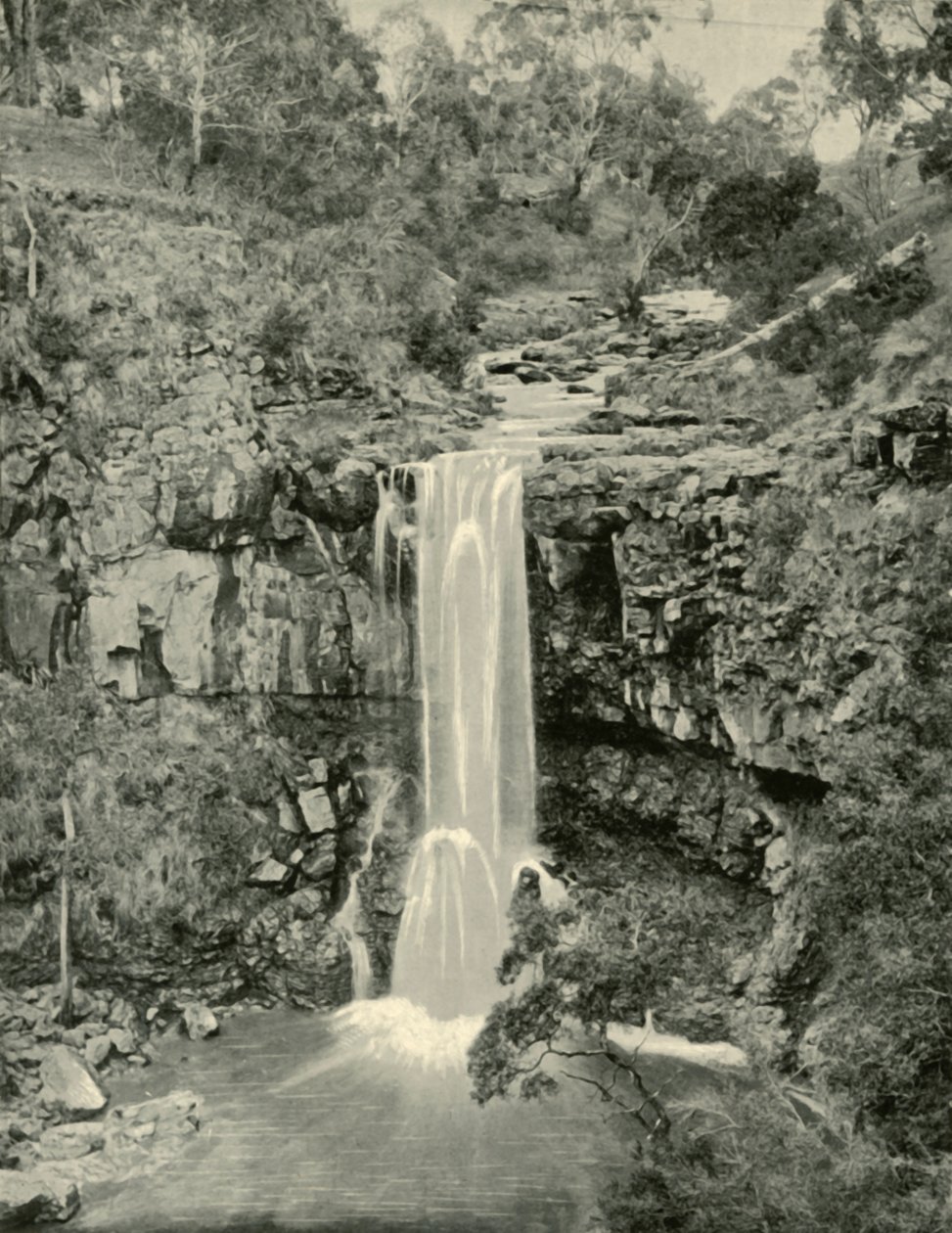Moorabool Falls, Victoria, 1901. af Unbekannt