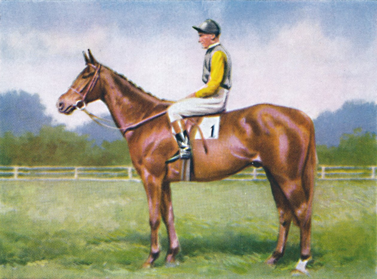Morsekode, Jockey: D. Morgan, 1939 af Unbekannt