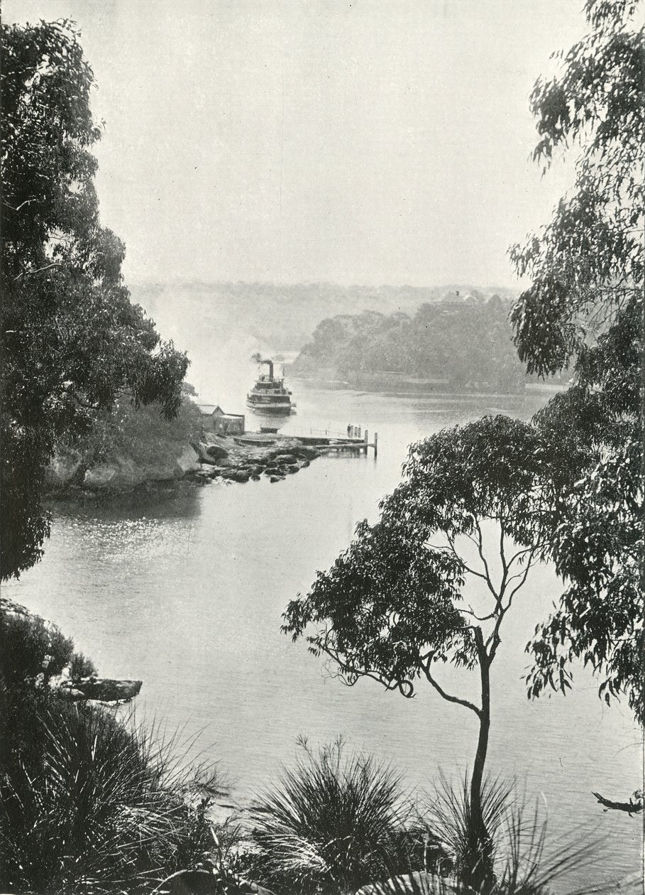 Mosmans Bay, fra Cremorne Jetty, c1900. af Unbekannt