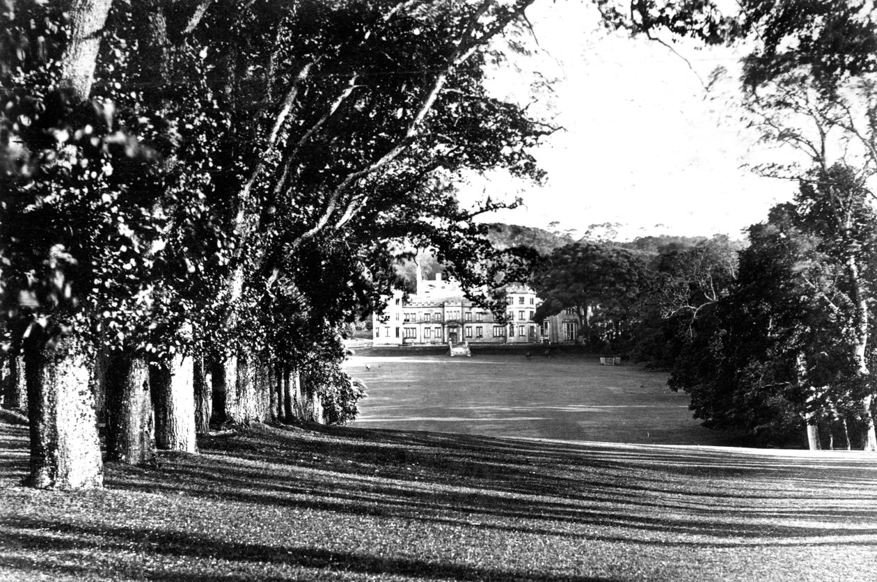 Mount Edgcumbe, c1882 af Unbekannt