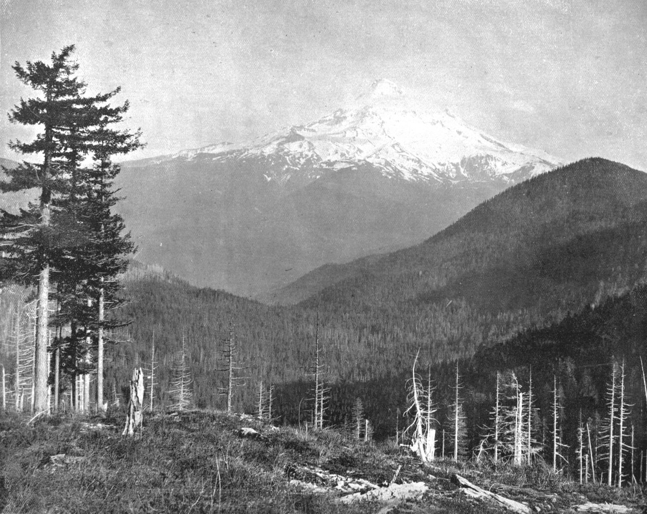 Mount Hood, Oregon, USA, c1900. af Unbekannt