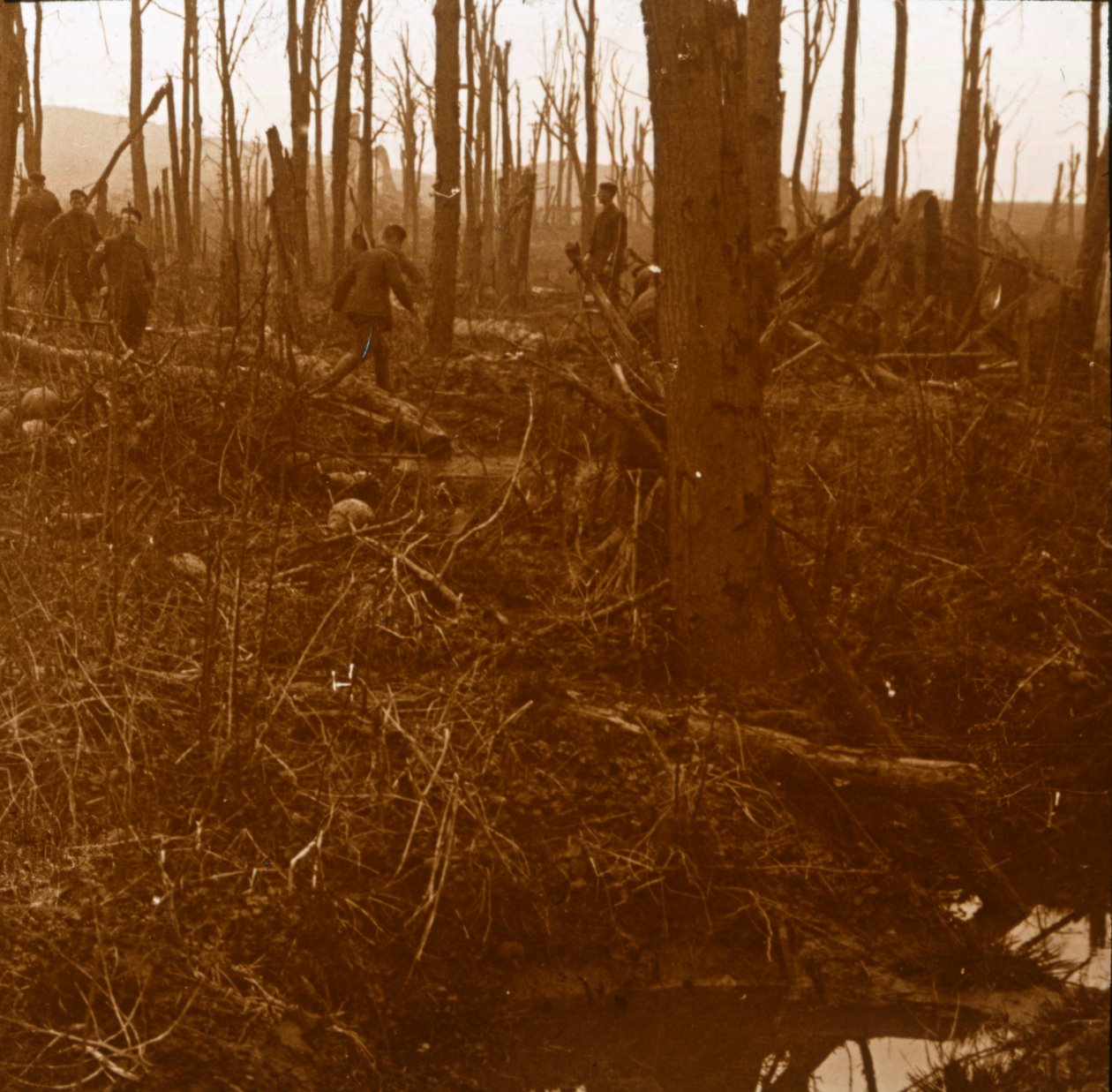 Mount Kemmel, Flandern, Belgien, c1914-c1918 af Unbekannt