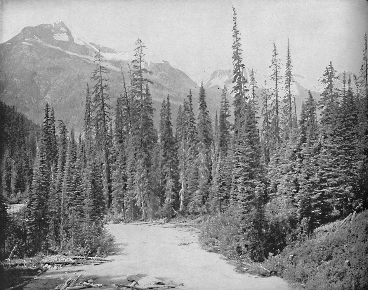 Mounts Cheops and Eremit, Selkirk Range of the Rockies, c1897. af Unbekannt