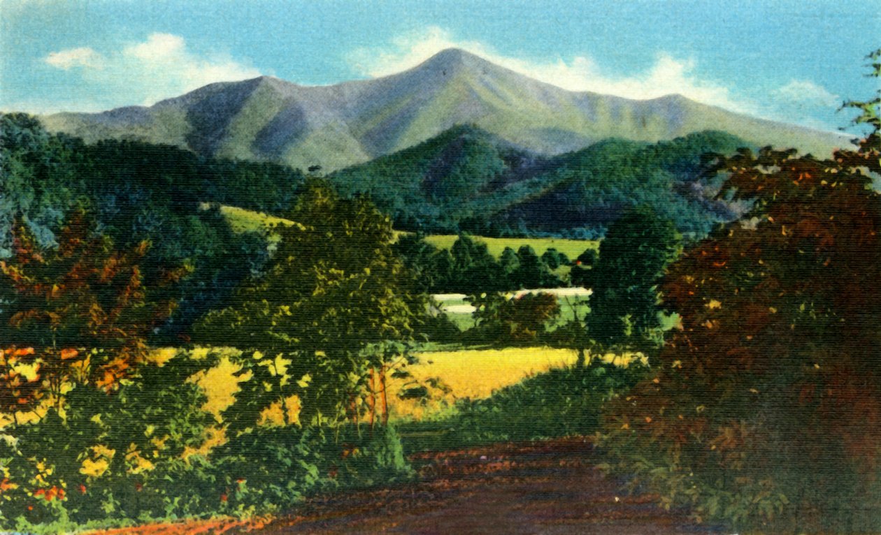 Mr. Pisgah, and the Rat in the Distance, Western North Carolina, 1942. af Unbekannt