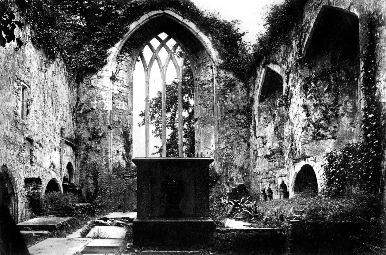 Muckross Abbey, Killarney, c1882 af Unbekannt