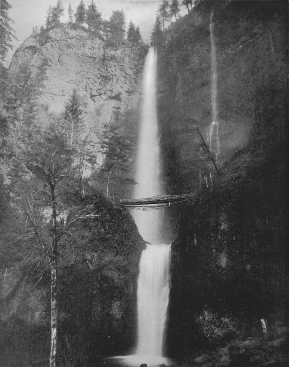 Multnomah Falls, 1800-tallet af Unbekannt