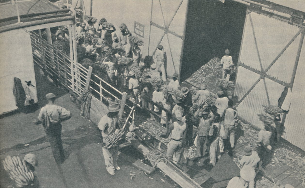 Indfødte læsser bananer i Kingston, Jamaica, synger skotske salmer, 1937 af Unbekannt