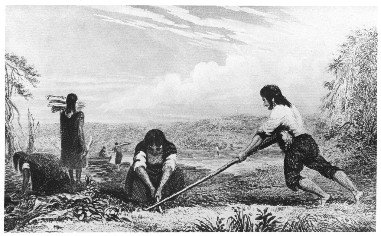 Indfødte fra Chiloe, Patagonien, ved hjælp af en brystplov, 1839 af Unbekannt