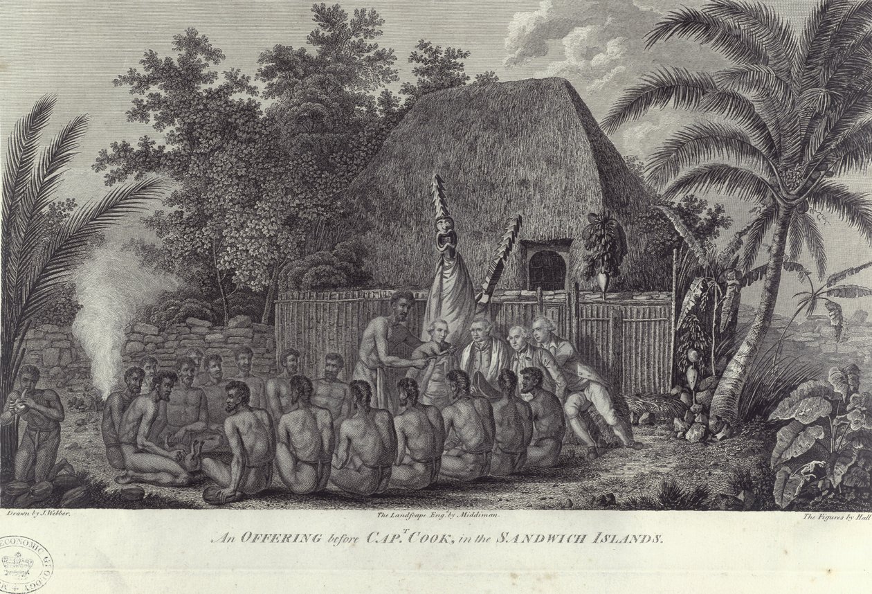 Indfødte fra Sandwichøerne, Hawaii, slagter svin før Captain Cook, c1778 af Unbekannt