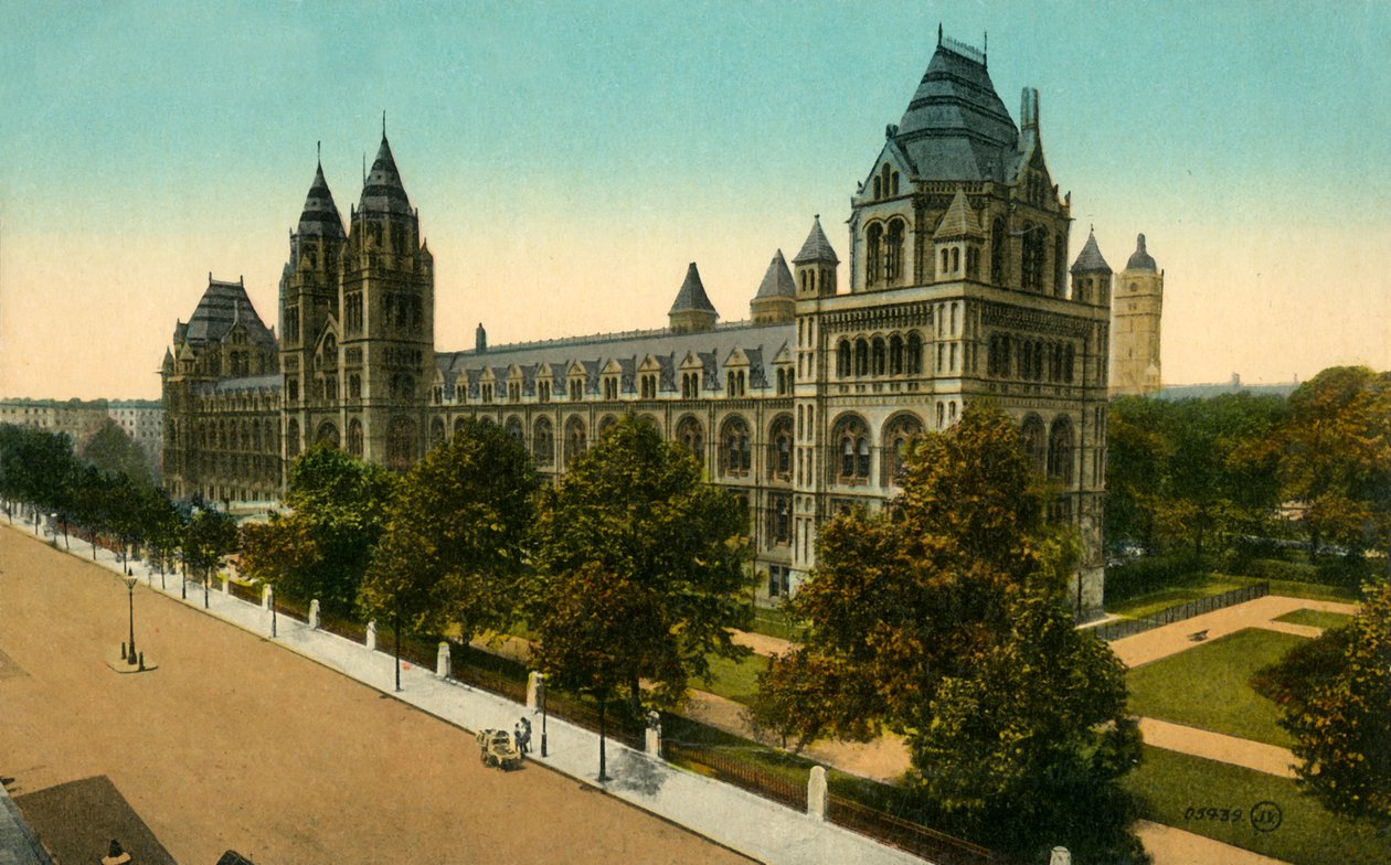 Natural History Museum, London, c1910. af Unbekannt